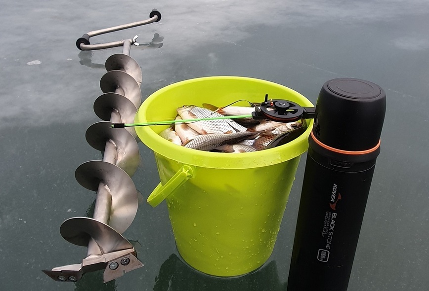 Изображение Оттепели в феврале – привычное дело. Фото: Коломийца Алексея.