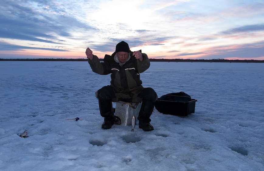 Изображение Друг Федя любит сидеть на одном месте и караулить свою рыбу. Фото: Коломийца Алексея.