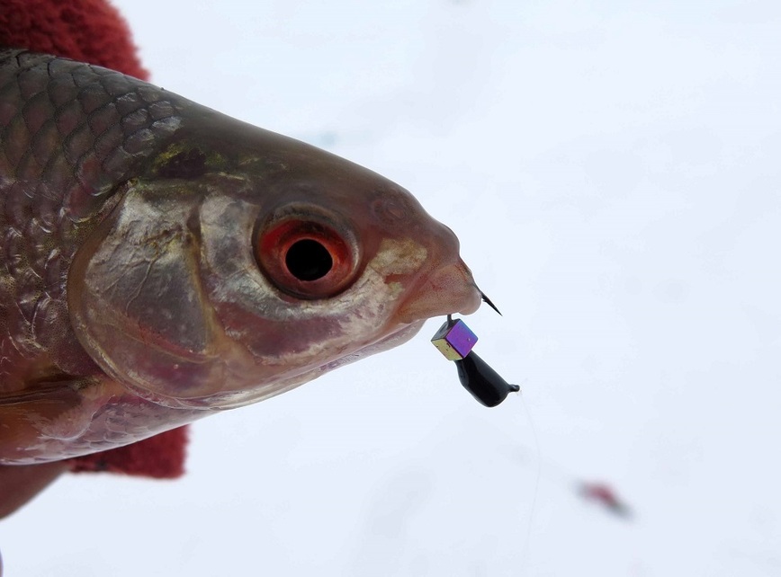 Изображение Эта мормышка называется «гвоздекубик – бензин». Фото: Коломийца Алексея.