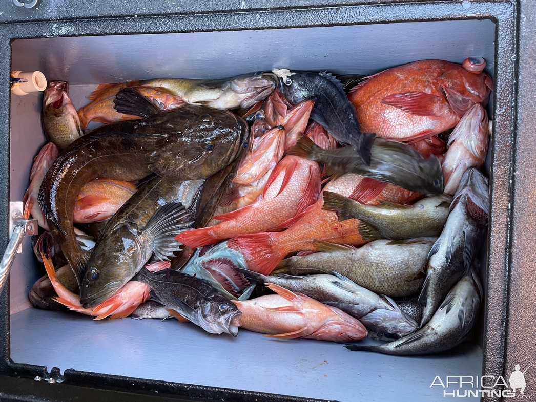 Изображение Фото: africahunting.com