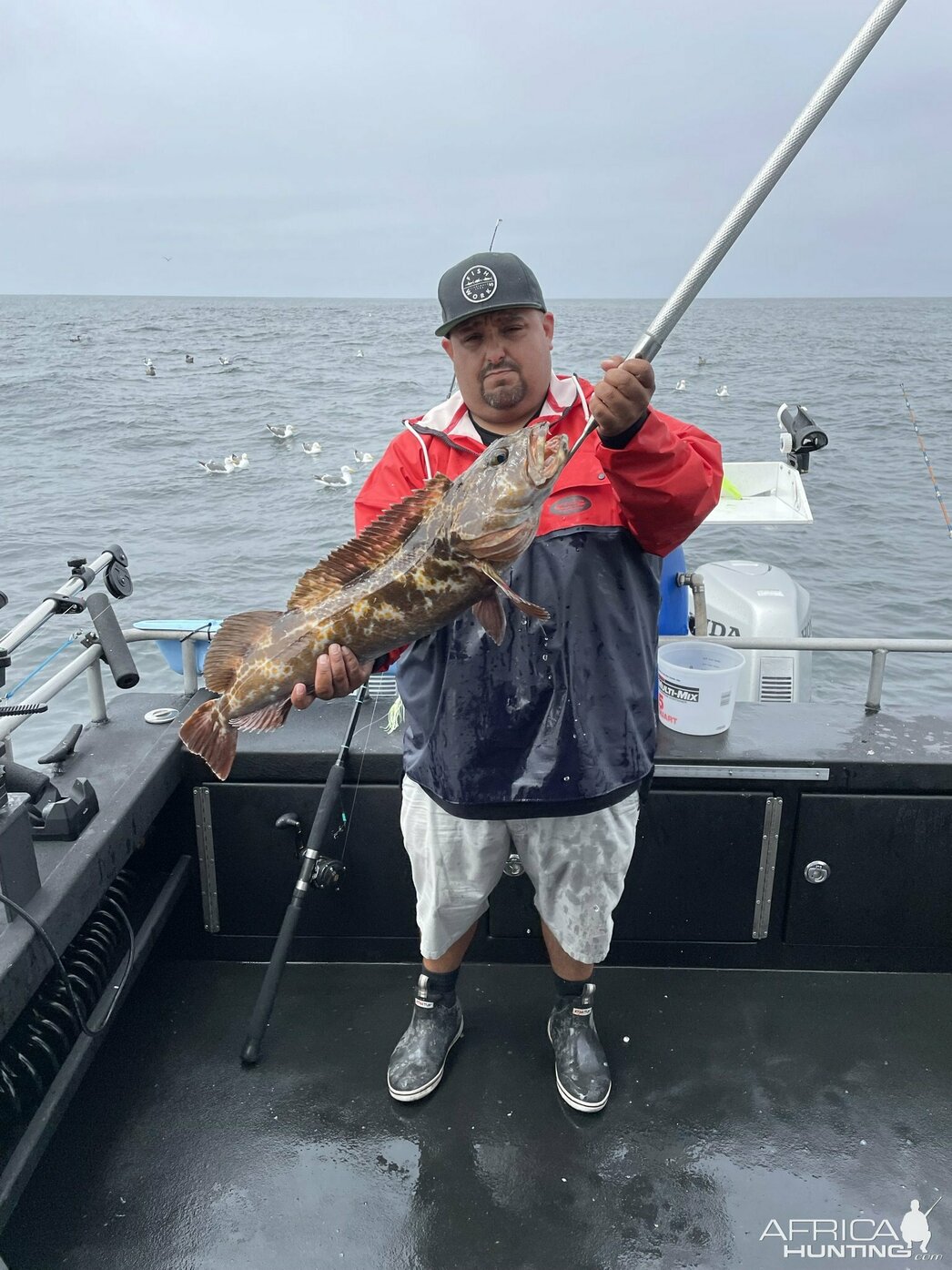 Изображение Фото: africahunting.com