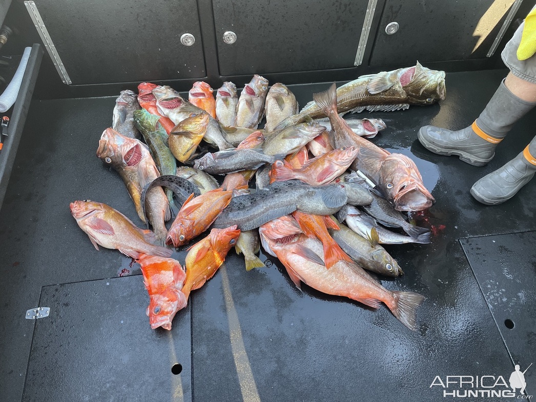 Изображение Фото: africahunting.com