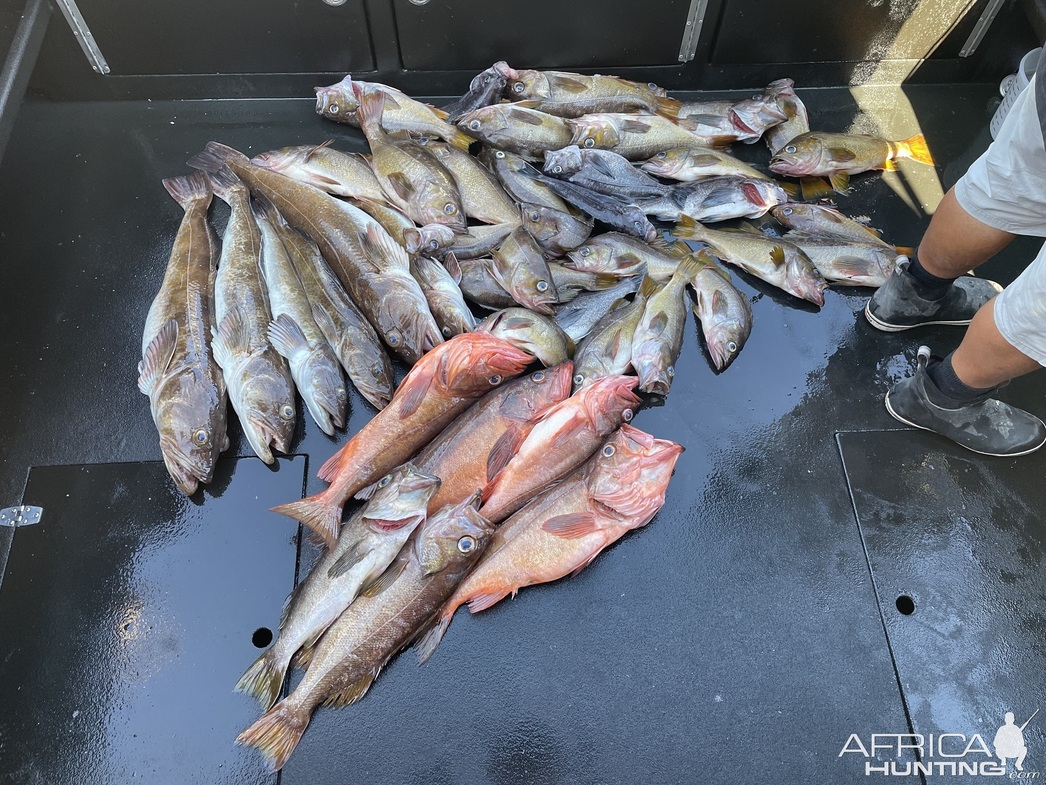 Изображение Фото: africahunting.com