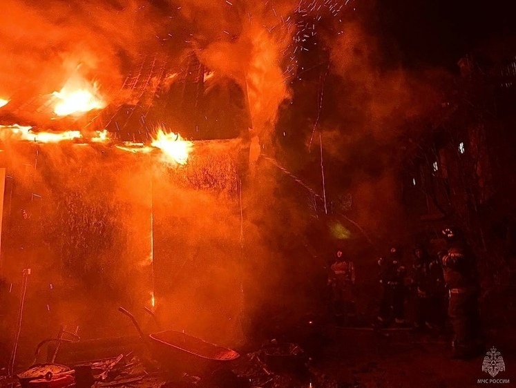 Изображение В сгоревшем на Сахалине частном доме погибли коты — собак спасли
