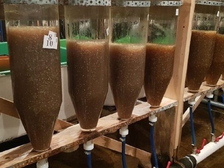 мониторинг в сфере противодействия коррупции. мероприятия по предотвращению травматизма на производстве. цели и задачи мероприятия. осуществление целей. цель осуществления госзакупок.