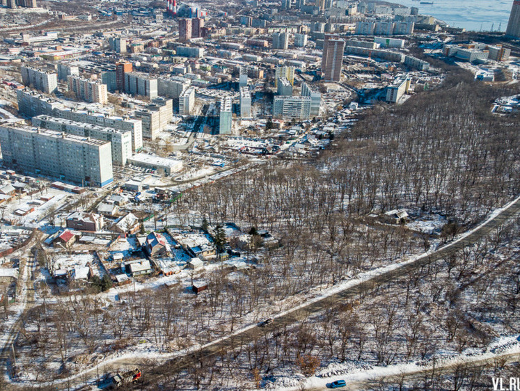 Изображение Во Владивостоке отдают два гектара леса под швейный цех для СВО