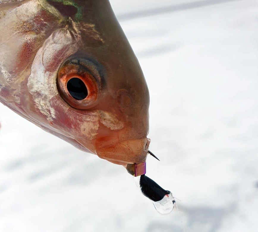 Изображение Фото: Коломийца Алексея.