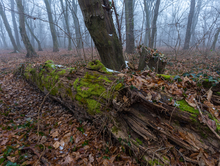 Изображение Суровые уроки: в Казахстане охотник выстрелил дробью школьнику в лицо