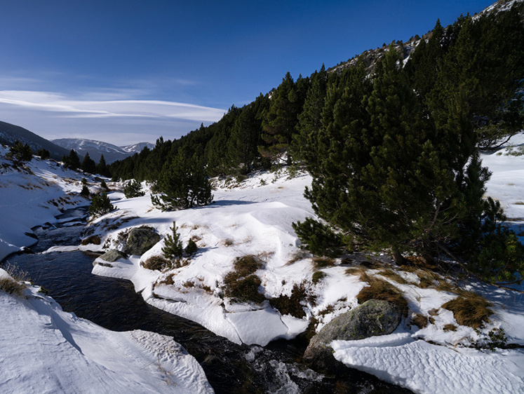 Изображение Она сама пришла: в Приморском крае охотник «нашел» замерзшую косулю