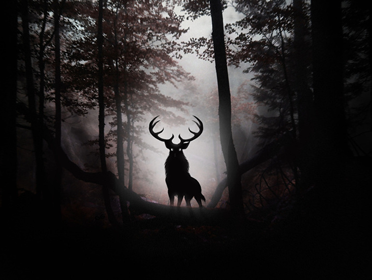 Изображение В Татарстане диких животных будут пугать жуткими звуками около трасс