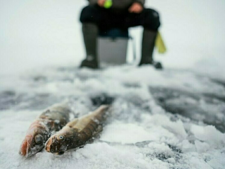 На Сахалине рыбак из-за снегопада потерял ориентиры 