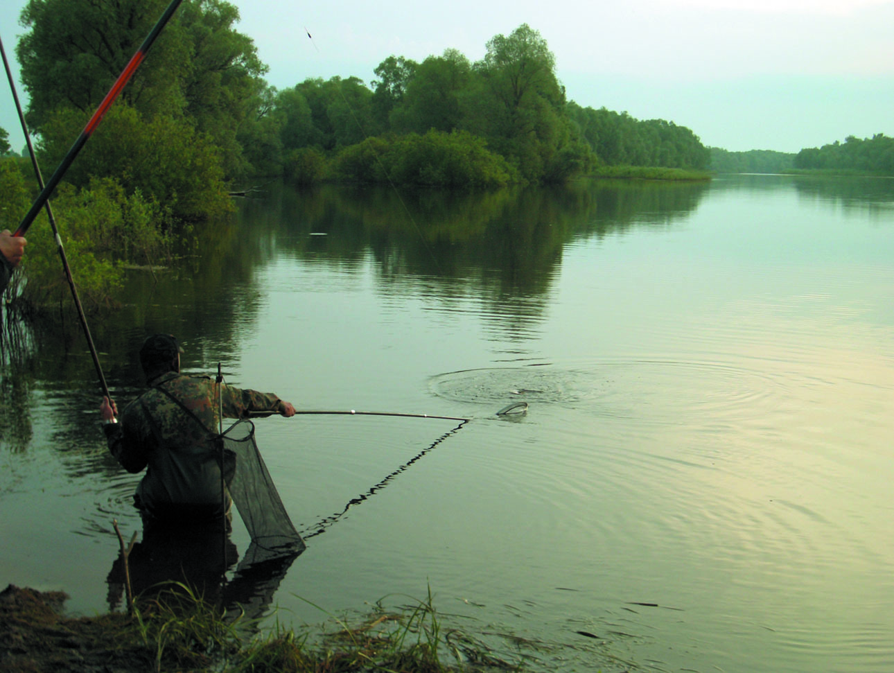 Изображение Фото: Линника Николая.