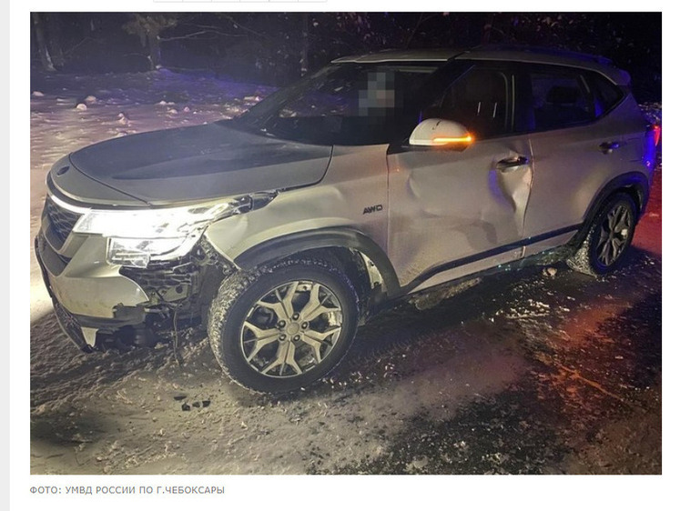 Изображение В Чувашии лось врезался в автомобиль сбоку и погиб