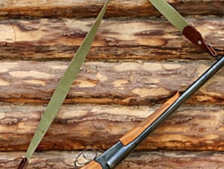 Изображение Уловка уральского браконьера про найденное ружье не удивила егерей
