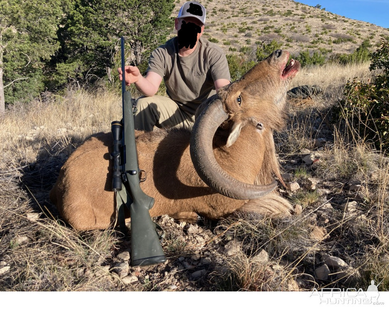 Изображение Фото: africahunting.com