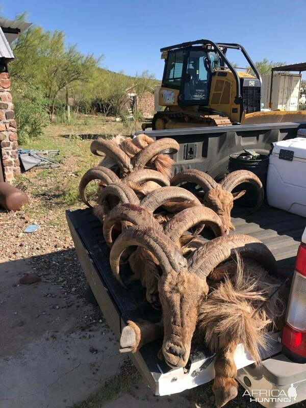 Изображение Фото: africahunting.com