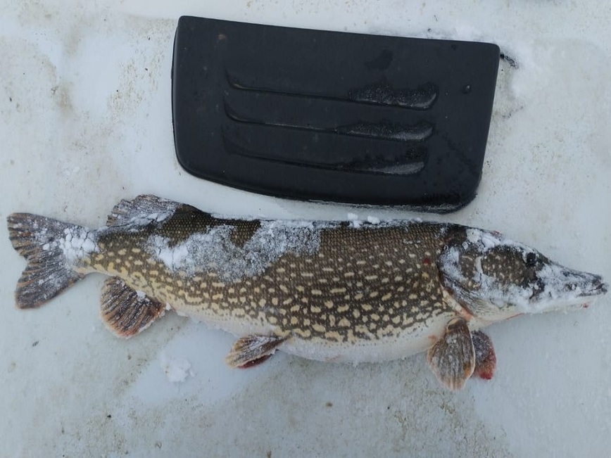 Изображение Фото: Коломийца Алексея. 