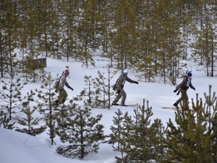 Изображение В Вологодской области пройдут соревнования по охотничьему биатлону