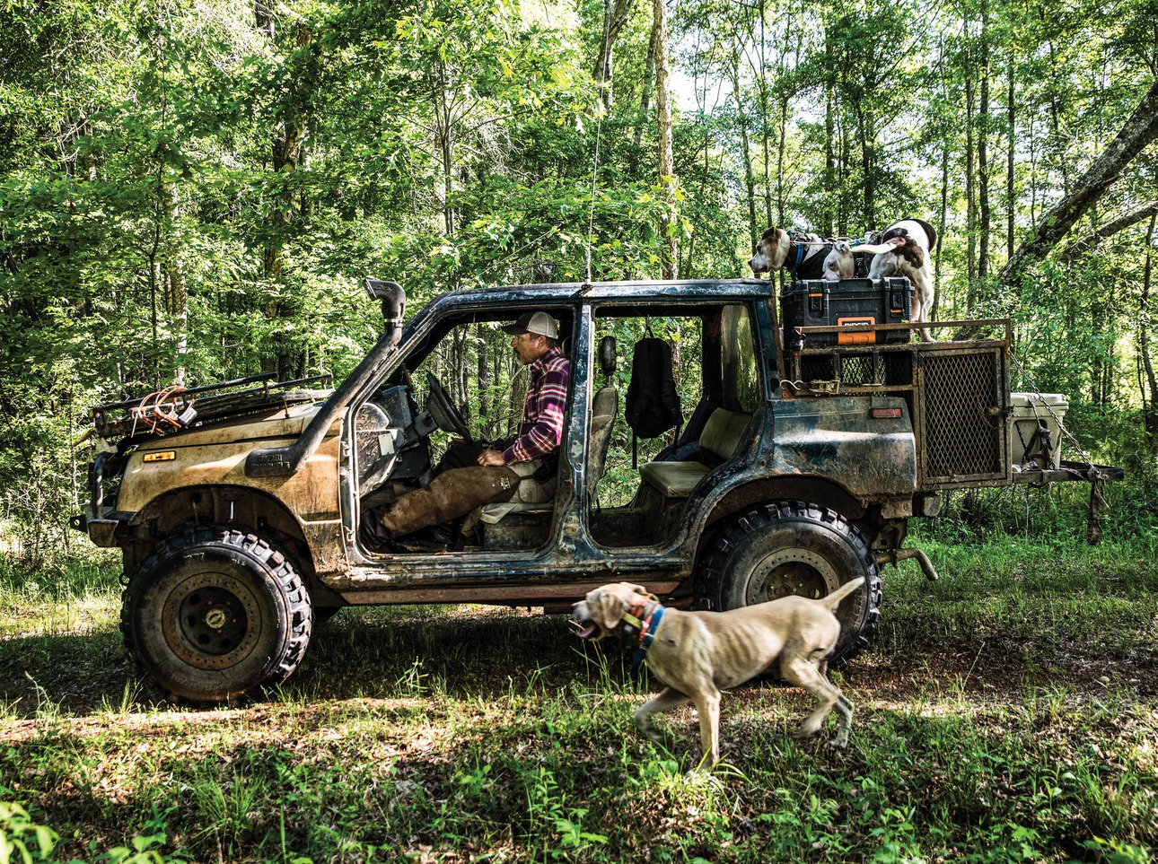 Изображение Фото: outdoorlife.com