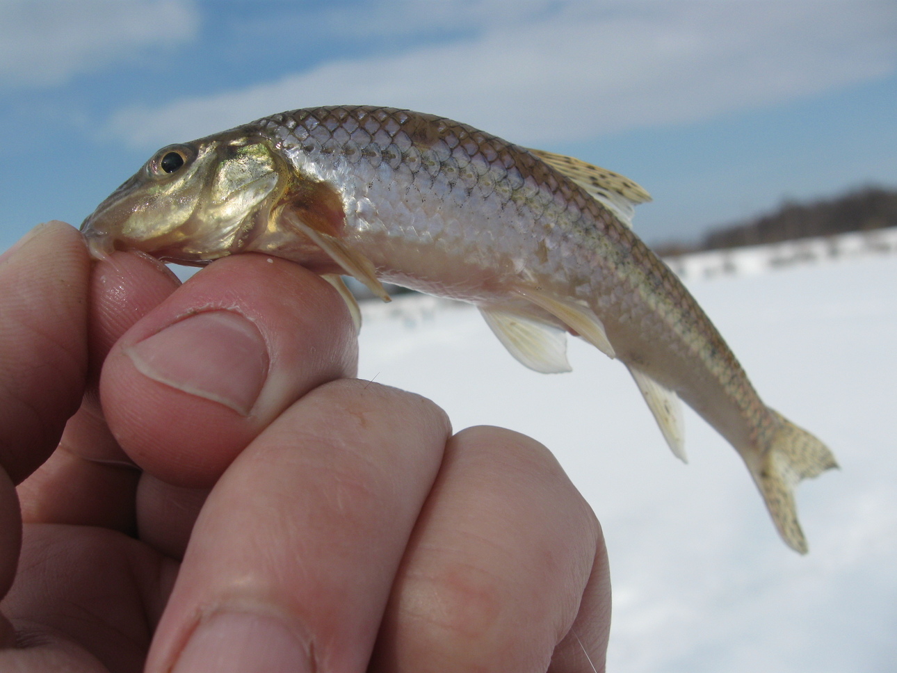 Изображение Фото: Токарева Александра. 