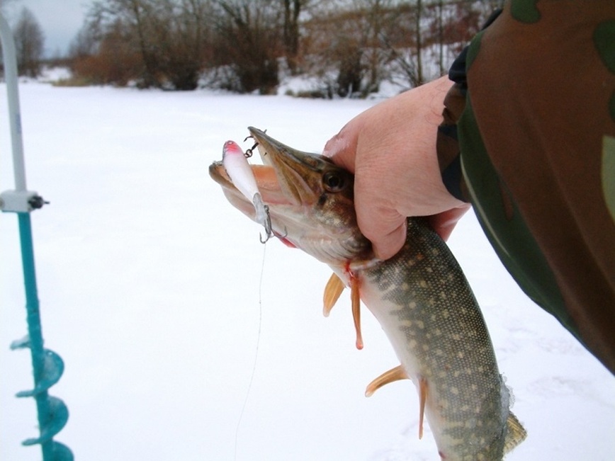 Изображение Фото: Токарева Александра. 