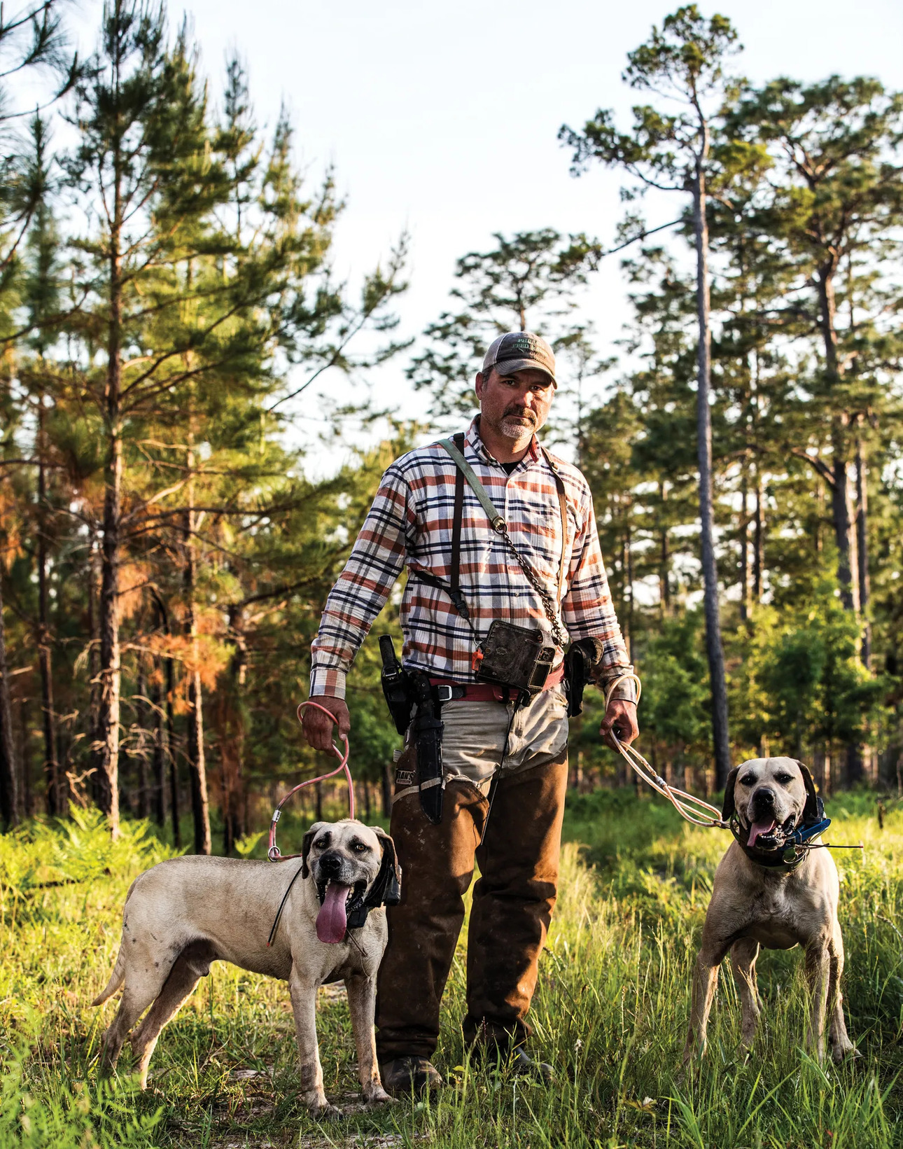 Изображение Фото: outdoorlife.com