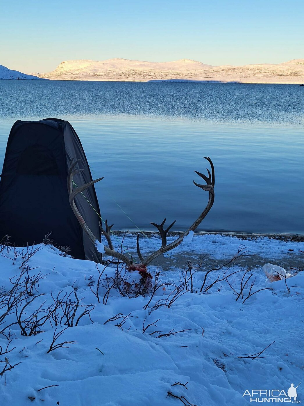 Изображение Фото: africahunting.com