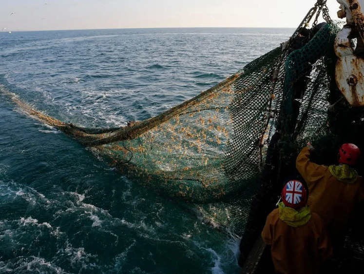 Изображение Эй, англичане, выходи из нашего моря: РФ расторгает рыбный договор