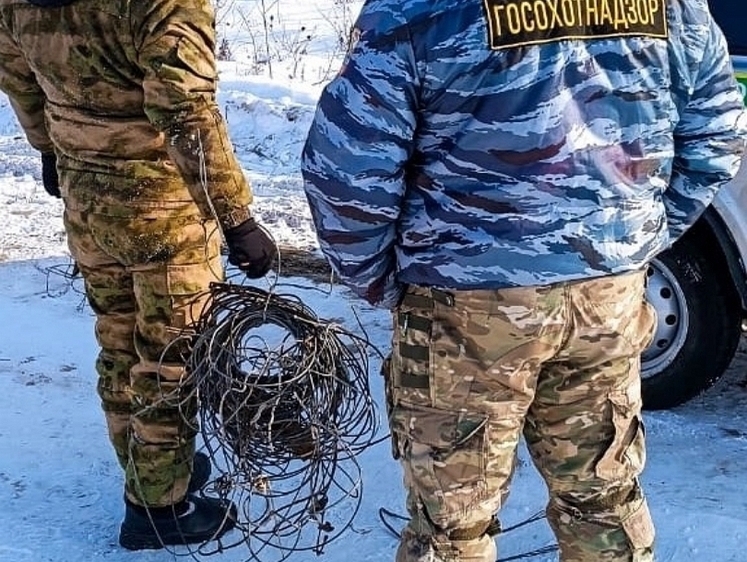 В Ванинском районе убрали полтора километра браконьерской изгороди