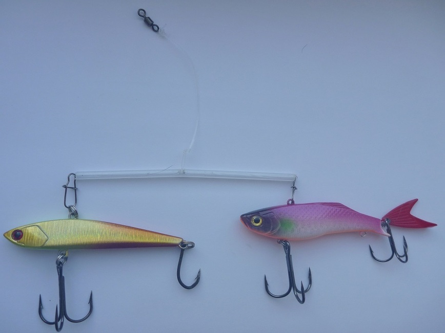 Изображение Коромысло с раттлинами. Фото: Смирнова Александра. 