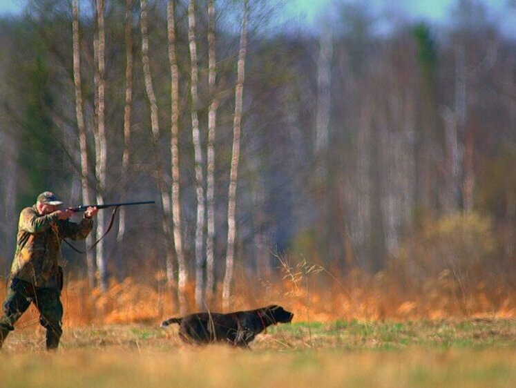Охотничья деятельность принесла прибыль порядка 190 млн рублей