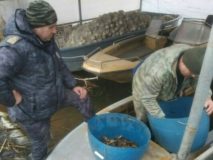 Изображение Азовские браконьеры ловят и рыбу, и раков