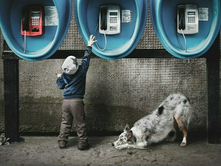 Изображение В Петербурге появится реклама о гуманном отношении к животным