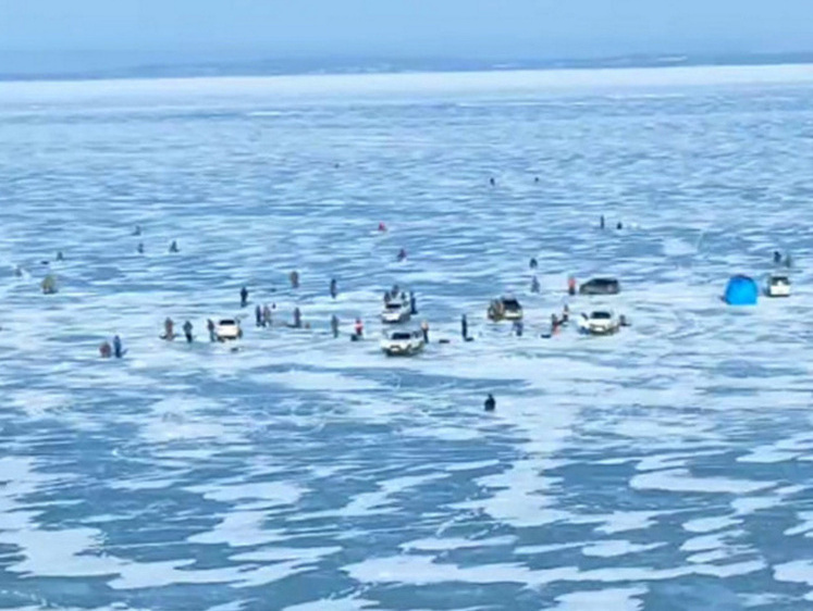 Изображение Хапугами ее дербанят: рыбаки Владивостока массово ушли на лов сельди