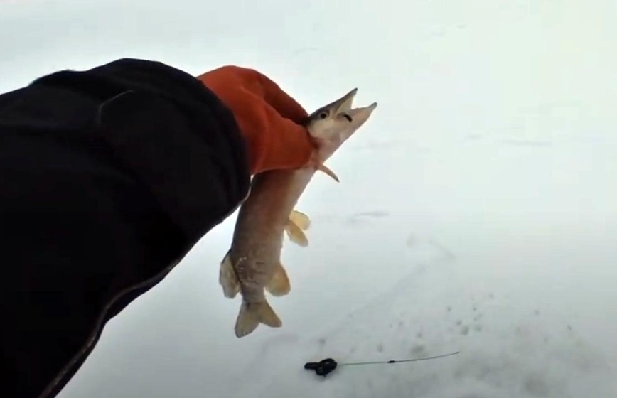 Изображение Фото: Коломийца Алексея. 