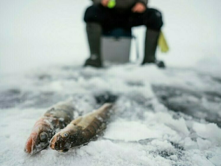 Изображение У рыбака на льду Пензенского водохранилища случился сердечный приступ