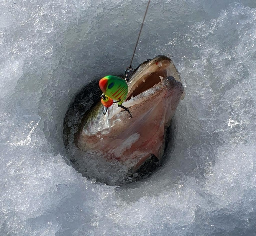 Изображение Фото: Коломийца Алексея.