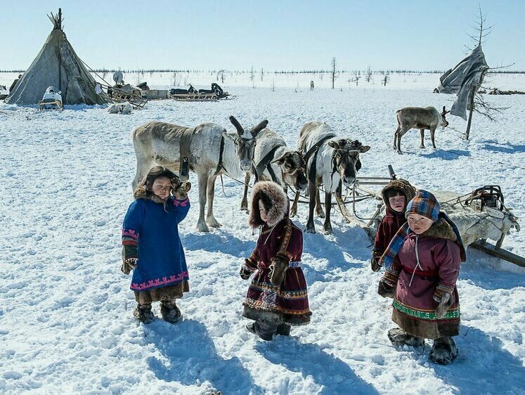 Изображение Оленеводы Камчатки получат новые льготы с 2024 года