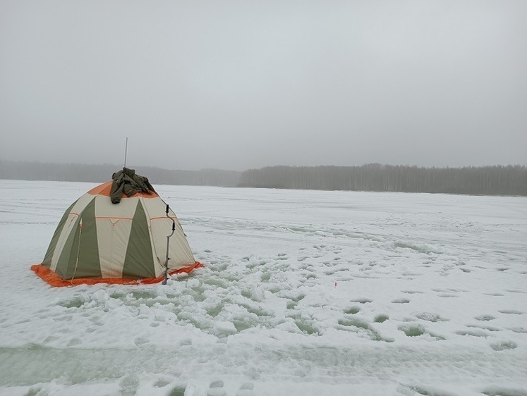 Изображение Весеннее глухозимье