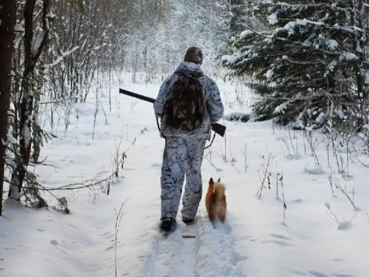 Осенне-зимняя охота завершена: но можно идти на волка