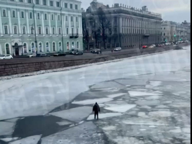 В Санкт-Петербурге на Фонтанке задержали рыбака-любителя