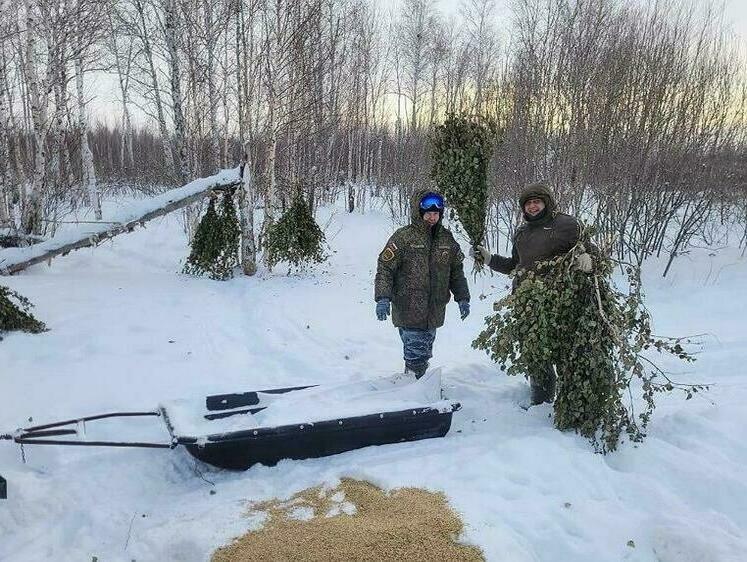 Изображение Лесным зверям Тюменской области помогают дожить до весны