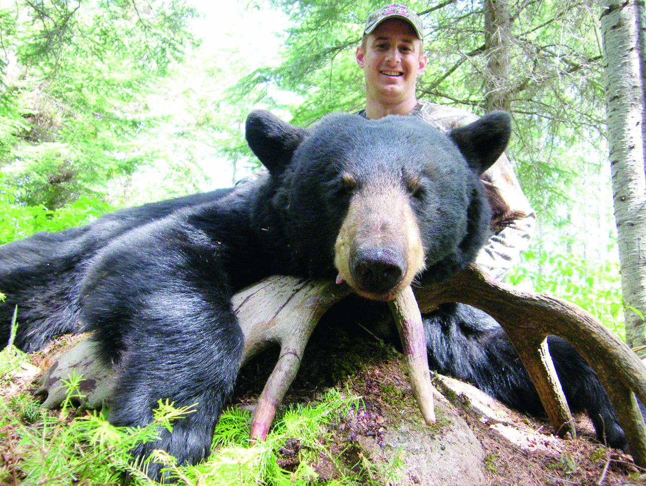 Изображение Черные медведи меньше гризли, но тоже внушают трепет и уважение. ФОТО COTT HEATLEY/FLICKR.COM (CC BY 2.0) 