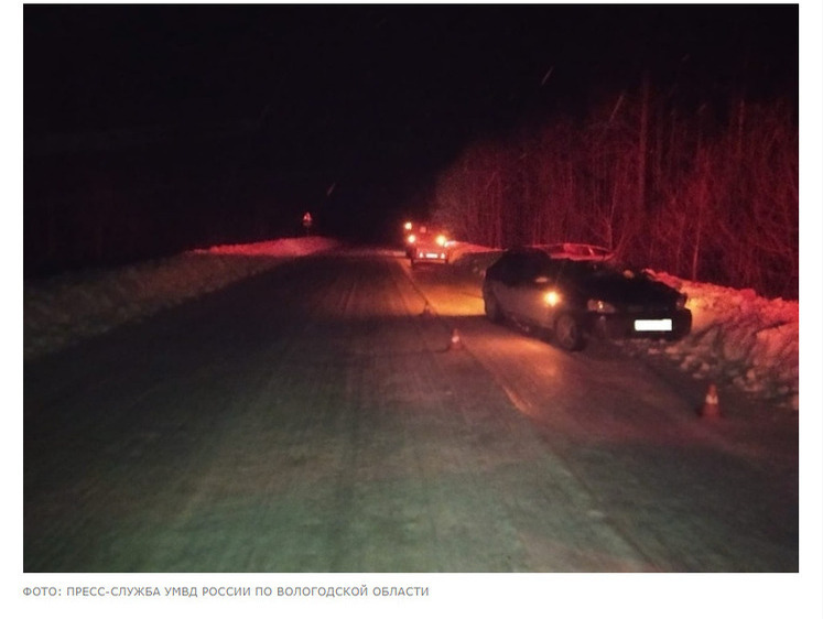 Изображение На ночной Вологодской трассе сбили лося