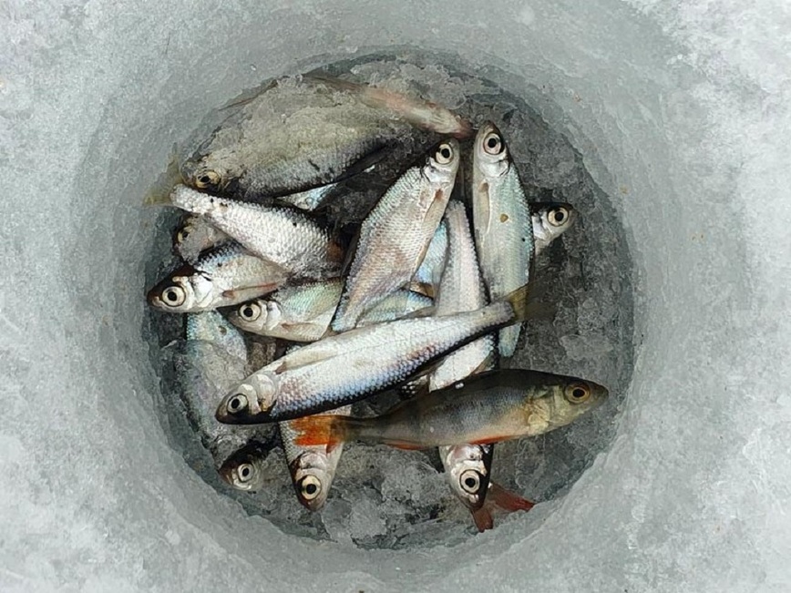 Изображение Фото: Коломийца Алексея. 