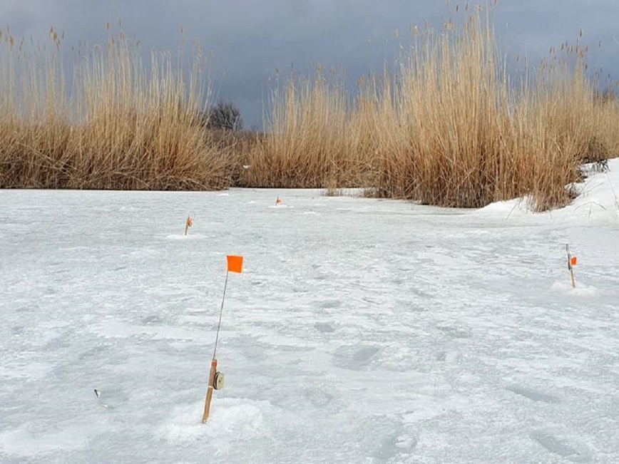 Изображение Фото: Коломийца Алексея. 