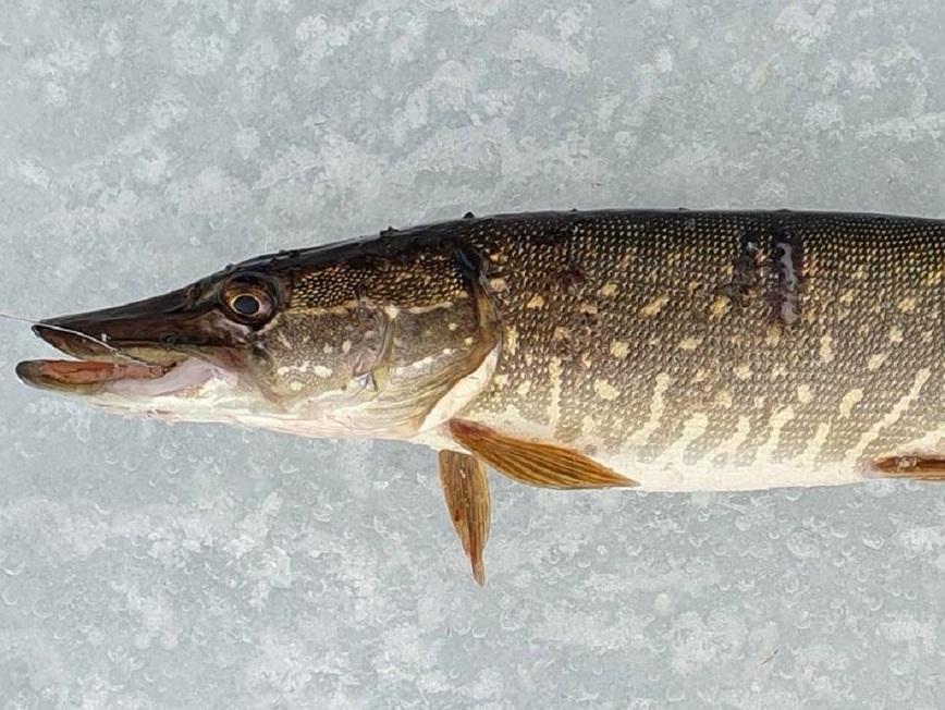 Изображение Фото: Коломийца Алексея. 