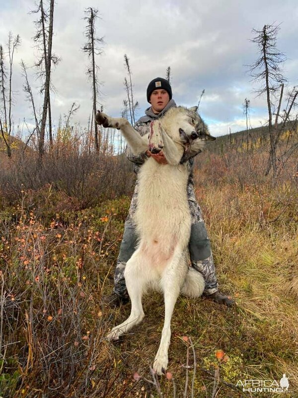 Изображение Фото: africahunting.com
