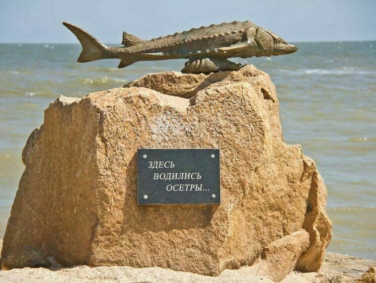 Изображение Круговая порука на Кубани при добыче рыбы обернулась уголовным делом