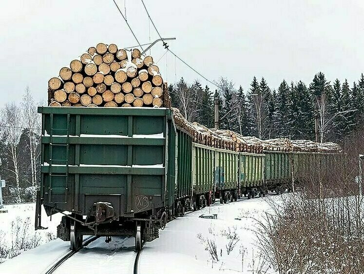 В Томской области коммерсант попался на контрабанде леса